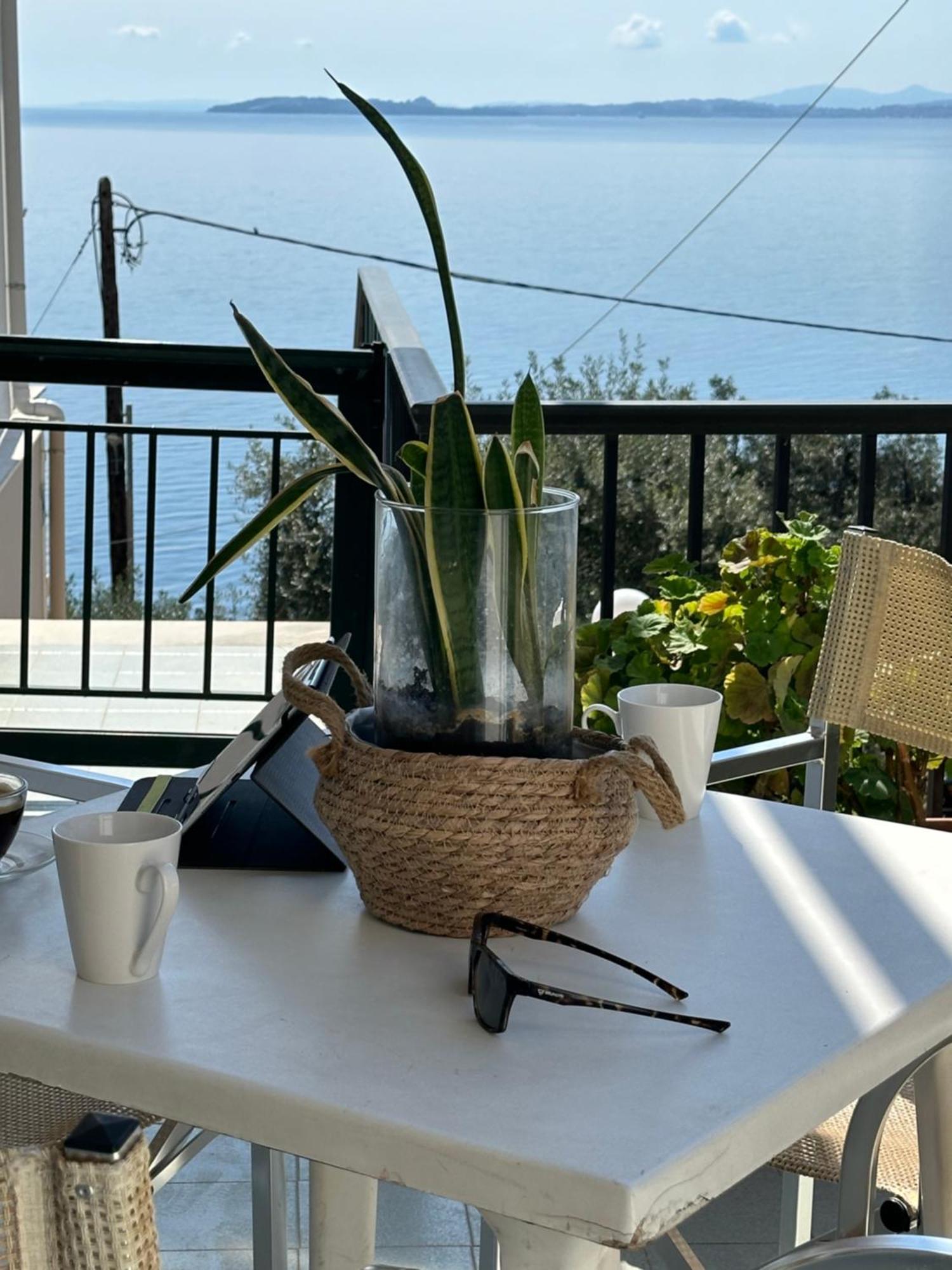 Vladimiros Apartments Barbati Buitenkant foto