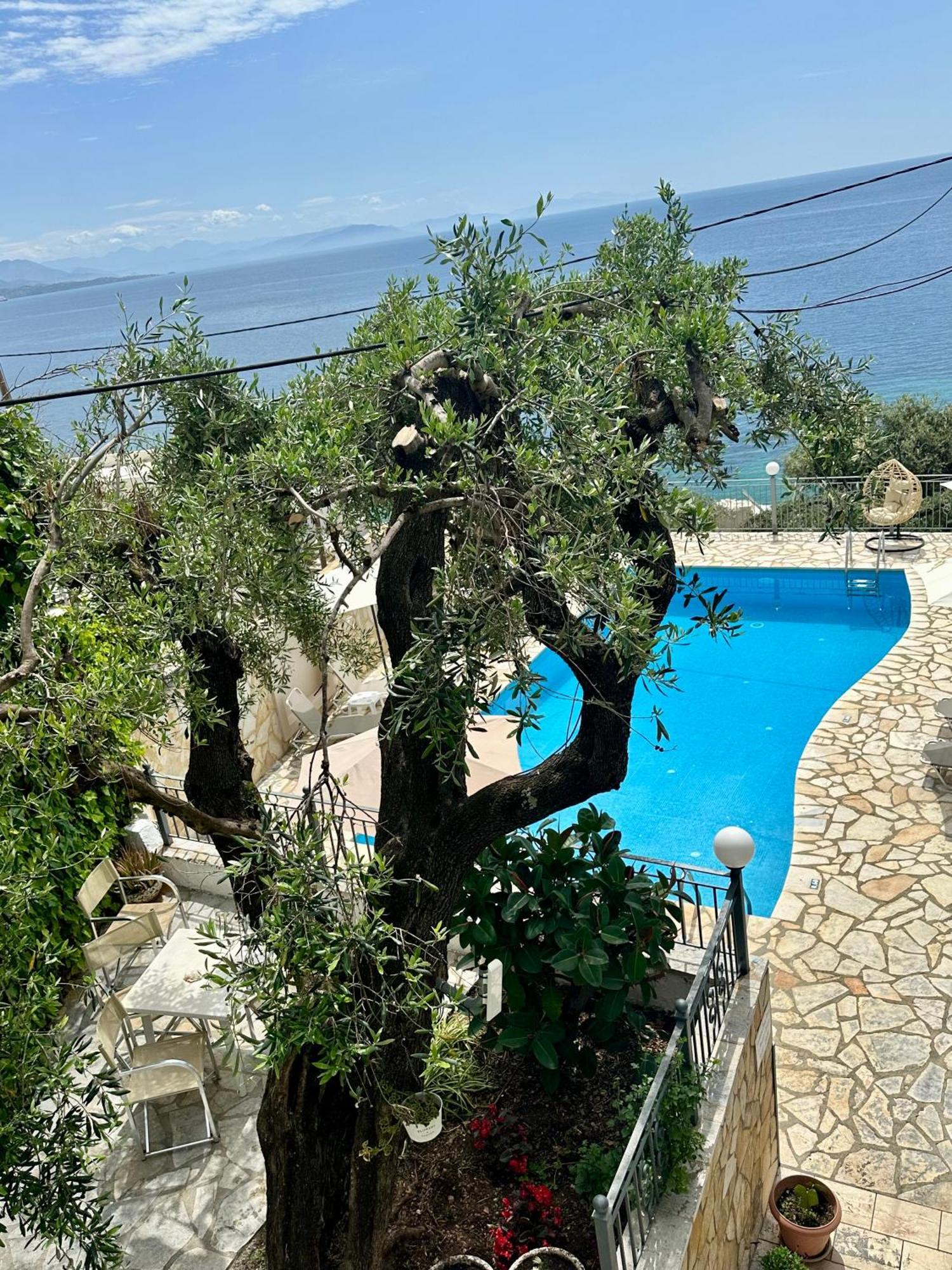 Vladimiros Apartments Barbati Buitenkant foto
