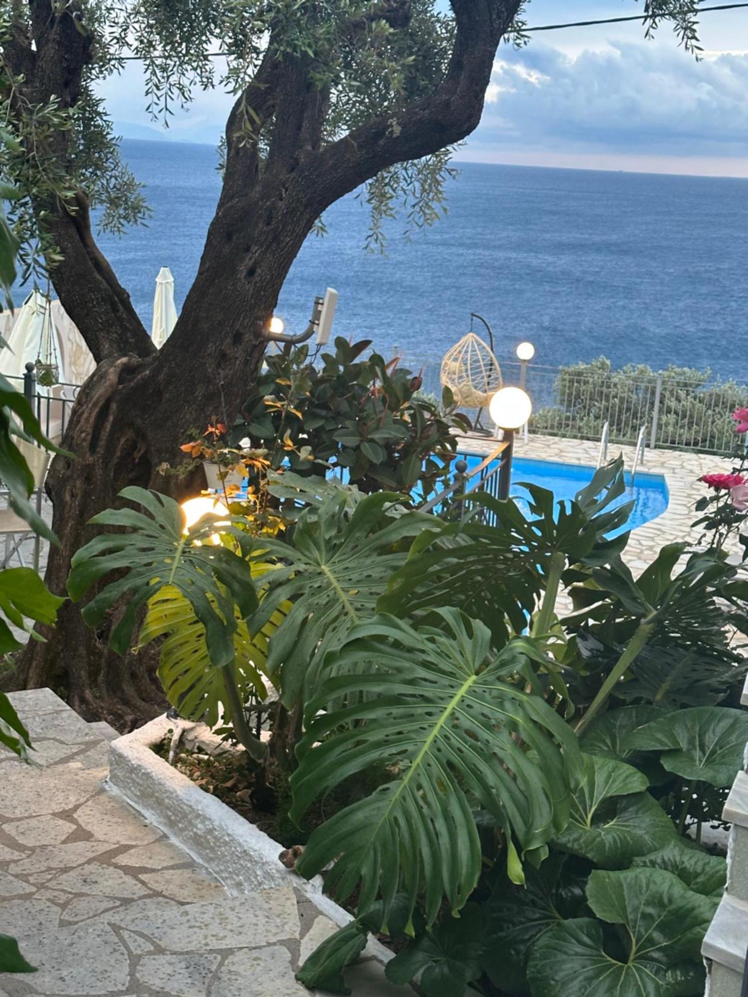Vladimiros Apartments Barbati Buitenkant foto